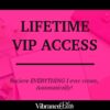 Pink graphic with the text “Lifetime VIP Access. Get EVERYTHING I ever release, automatically!” Faded office items appear in the background, with “Vibrance & Bliss” at the bottom.